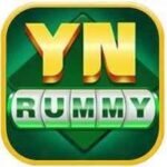 Yn Rummy